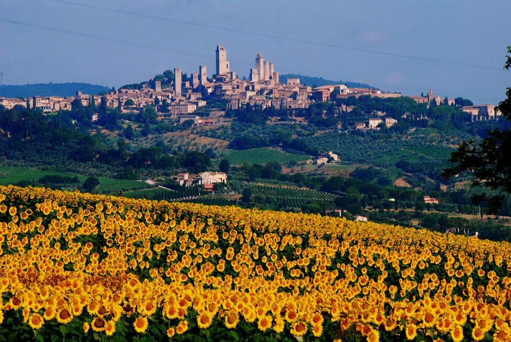 Villa Il Palagione San Gimignano Esterno foto