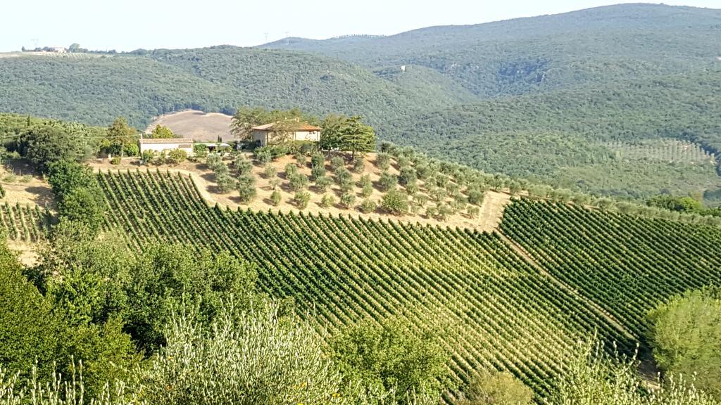 Villa Il Palagione San Gimignano Esterno foto